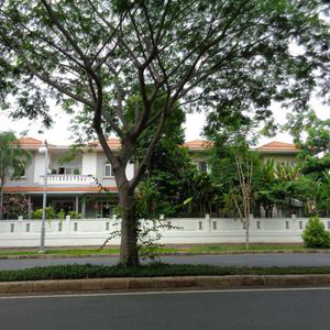 Phòng khám Nhi khoa Mỹ Kim Clinic - ThS.BS. Trần Thị Thu Loan