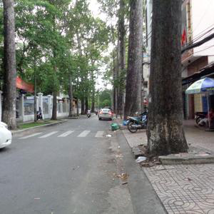 Phòng khám Nội tiêu hóa - GS.TS.BS. Trần Thiện Trung